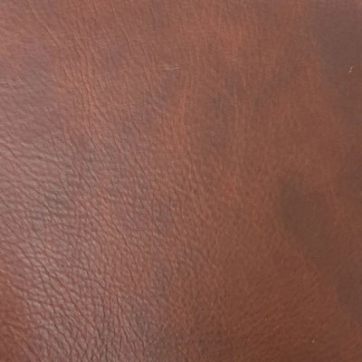 Passport Holder