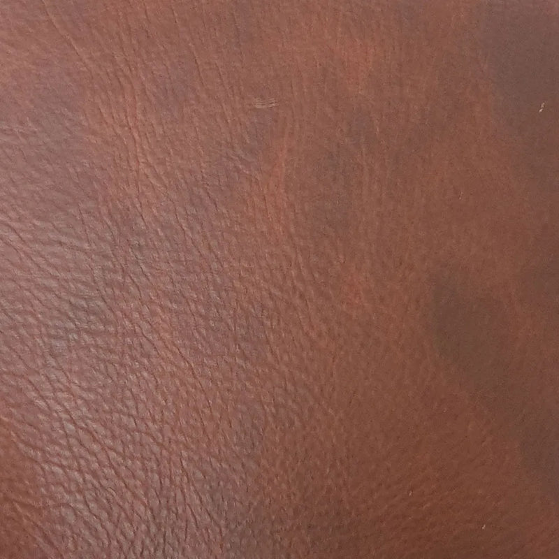 Passport Holder