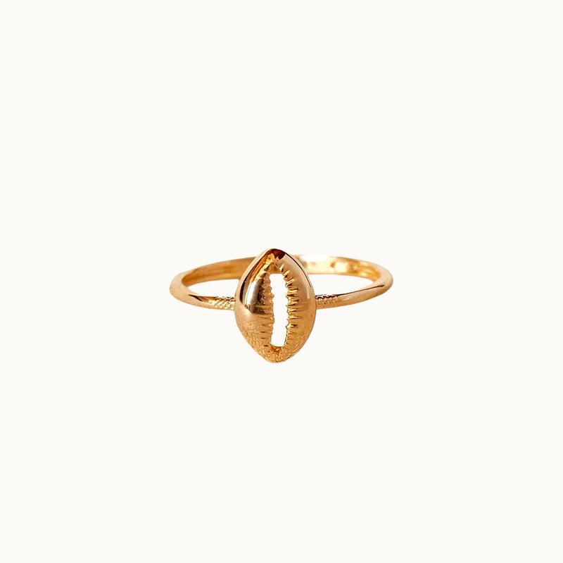 Cowrie Shell Ring (18k Gold)