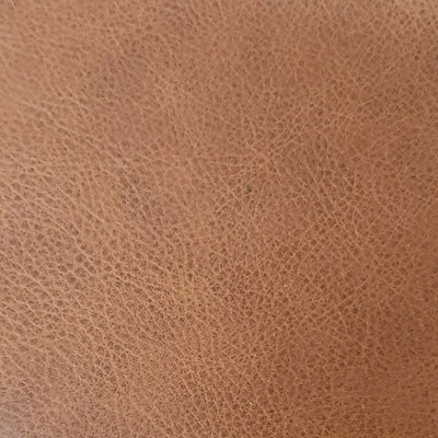 Passport Holder