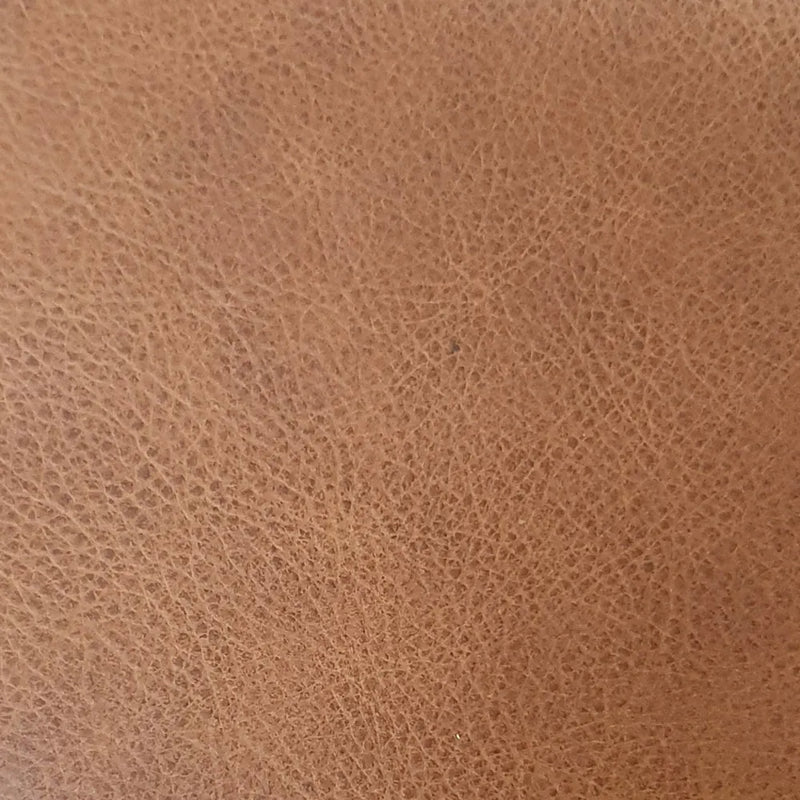 Passport Holder